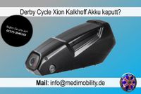 Kalkhoff | Derby Cycle E-Bike Akku | Reparatur & Ersatz München - Schwabing-West Vorschau