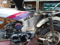 Suche solche autkleber links und rechtz honda dax st50 l Bayern - Langdorf Vorschau