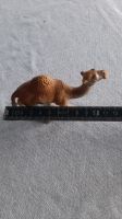 Schleich Camel Niedersachsen - Dransfeld Vorschau