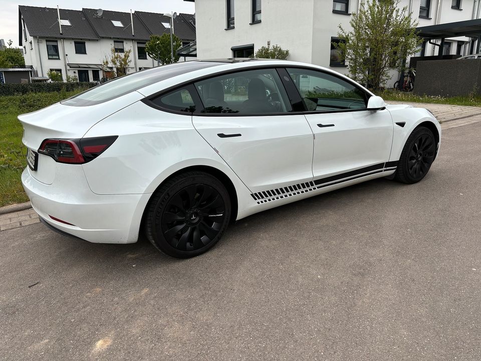 Tesla Model 3 Hinterradantrieb RWD LFP 60 kWh Ryzen in Waiblingen