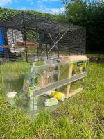 Hamster-, Mäuse-, Nagerkäfig zu verkaufen Nordrhein-Westfalen - Rosendahl Vorschau