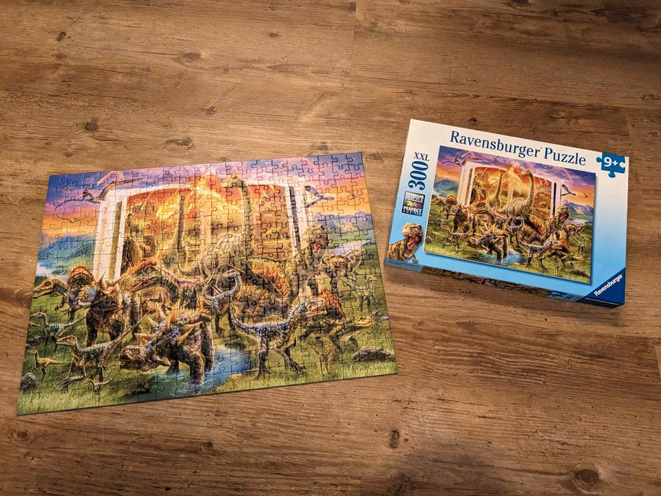 XXL Dinosaurier Paket Dinos Puzzle Bücher Plakate Kinder in Leonberg