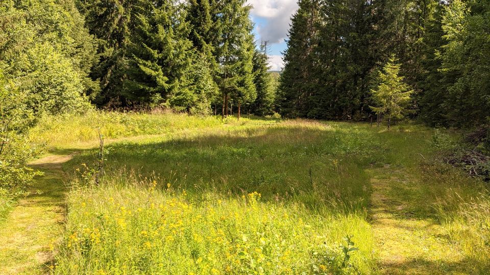 Selbstversorgergrundstück mit Wald, 5,4 ha in Värmland, Schweden in Aichach