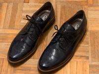 Gabor Lackschuhe Leder Schwarz Gr 6 1/2  Gr. 40 Altona - Hamburg Rissen Vorschau