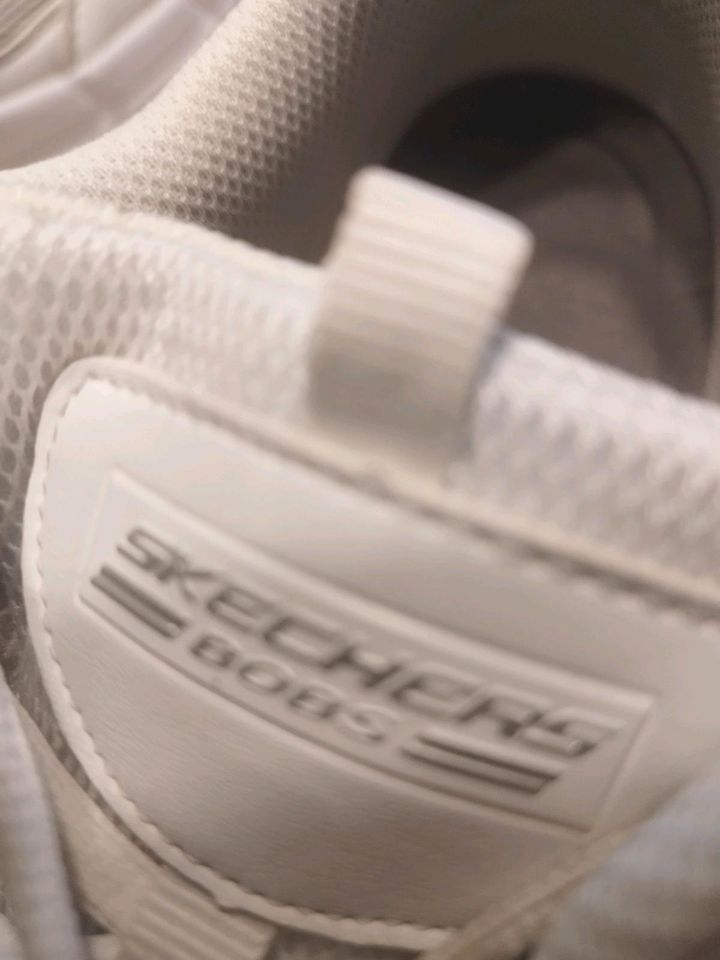 Skechers Damenschuhe in Oderwitz