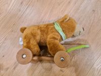 OSTER Geschenk Plüsch Bär Teddy Holz Räder Kinder Spielzeug Sachsen - Leutersdorf Vorschau