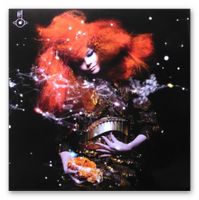 BJÖRK - Biophilia + Vulnicura Niedersachsen - Ihlow Vorschau