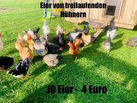 Eier von glücklichen Hühnern zu verkaufen Nordfriesland - Joldelund Vorschau