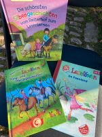 3 Bücher zum Lesenlernen Lesenlöwen Pferde Feen Silben lesen Thüringen - Winterstein Vorschau