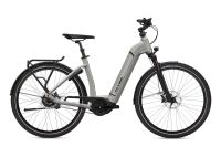 Reduziert *NEU* FLYER E-Bike Gotour 6 7.43 // Zweiradhaus Grave Niedersachsen - Hagen am Teutoburger Wald Vorschau