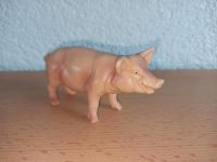 Schwein Schleich Hessen - Hauneck Vorschau