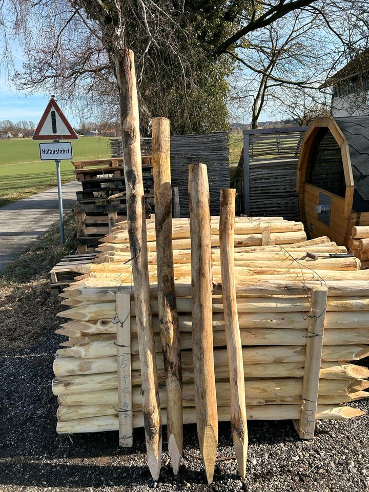 Kastanienpfäle für Weidezäune in Rimbach