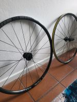 Laufrad Oval 324 (hinten), Rennrad, Tubeless Düsseldorf - Oberkassel Vorschau