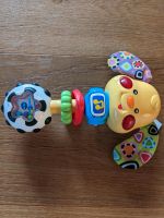 WauWau Rassel Hündchen VTech Babyspielzeug Sachsen - Lampertswalde bei Großenhain Vorschau