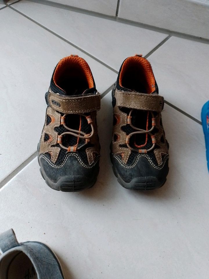 6 Kinderschuhe 30 Schuhe Sneaker: Elefanten, Fila, kangoroos etc. in Willich