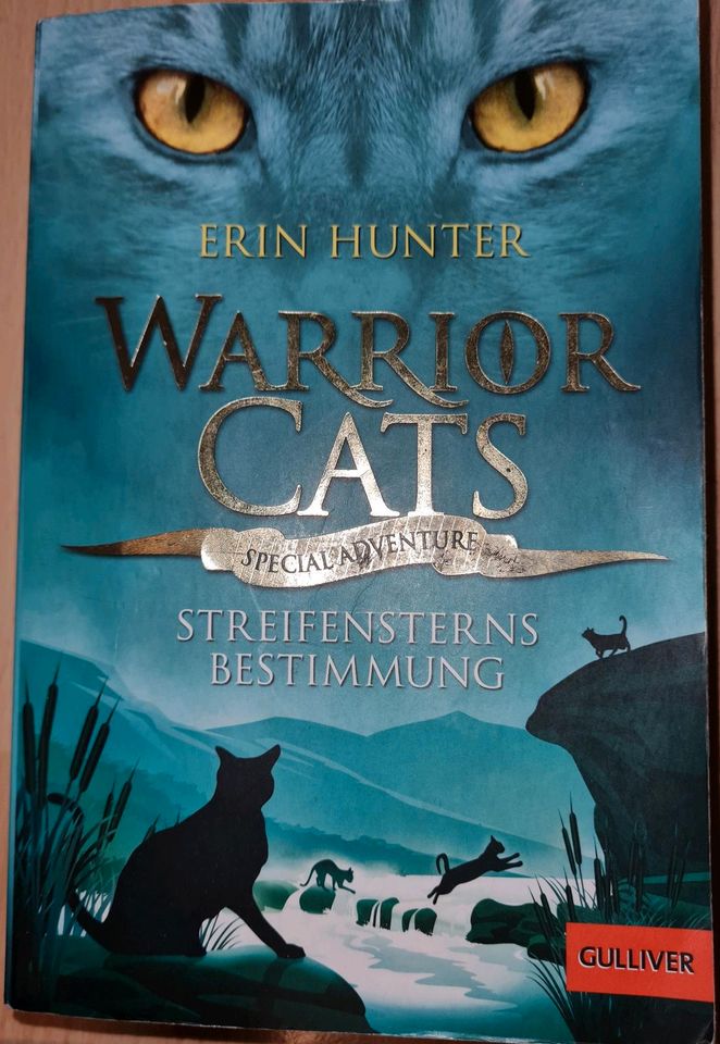 Warrior cats Bücher in Schramberg