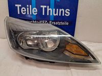 FORD FOCUS 2 Halogen SCHEINWERFER VORNE RECHTS  8M51-13W029-CE Münster (Westfalen) - Hiltrup Vorschau