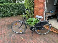 Damen Fahrrad 28 Zoll Niedersachsen - Cloppenburg Vorschau