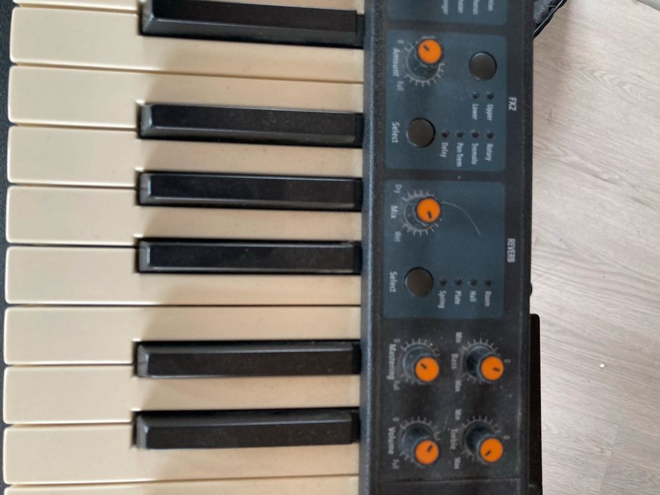 Keyboard Ständer & Softcase mit midi in Harrislee