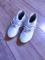 Adidas Predator Fußballschuhe in Gr 41,5 Essen - Essen-Ruhrhalbinsel Vorschau