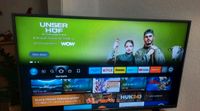 Fernseher Smart TV Grundig 49Zoll mit OVP Nordrhein-Westfalen - Hamm Vorschau