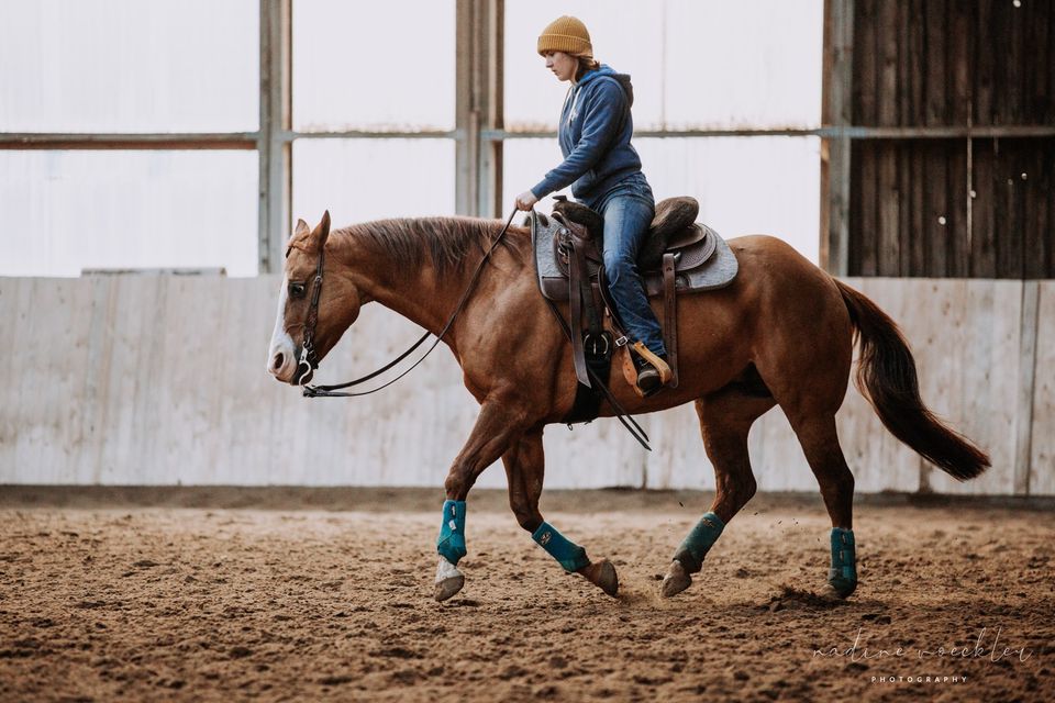 Mobiler Unterricht Westernreiten in Teupitz-Tornow