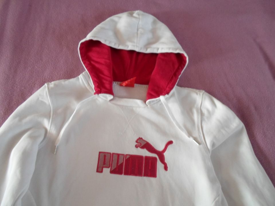 Damen - Pullover --- Marke: " Puma " --- Größe: 36 in Schöneck