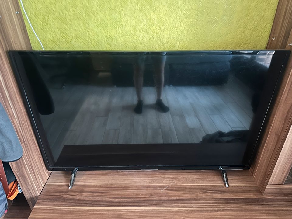 4K Fernseher 50" Medion X15025 (MD32025) in Bad Münstereifel