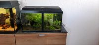 Juwel Aquarium 57 l Baden-Württemberg - Kehl Vorschau