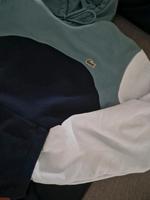 lacoste pullover Berlin - Neukölln Vorschau