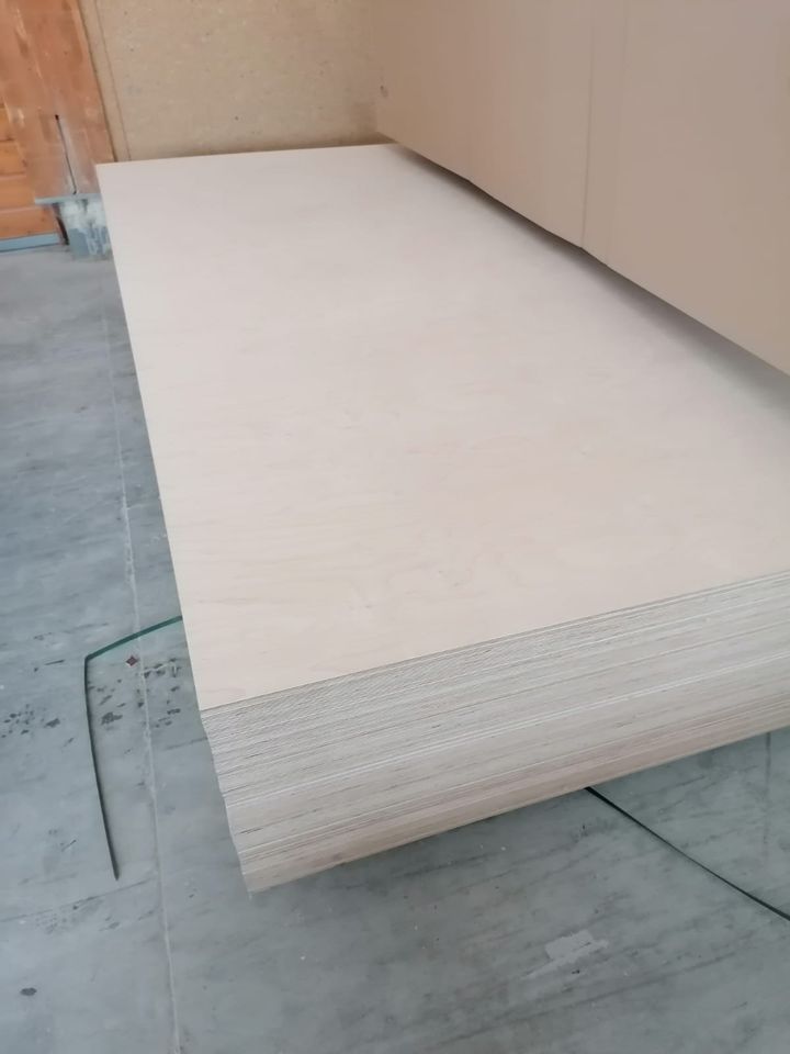 Birke Multiplexplatten / Siebdruckplatten / Sperrholzplatten in Pretzfeld