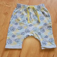 Süße Babyhose Größe 62 / Neu Nordrhein-Westfalen - Borgentreich Vorschau