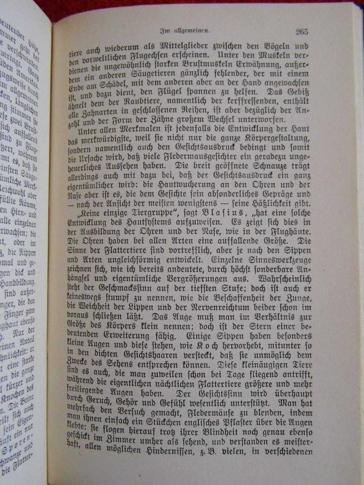 ✴️ Brehms Tierleben, 36 Bände, 1927, grüne kolorierte Ausgabe ✴️✴ in Kelsterbach