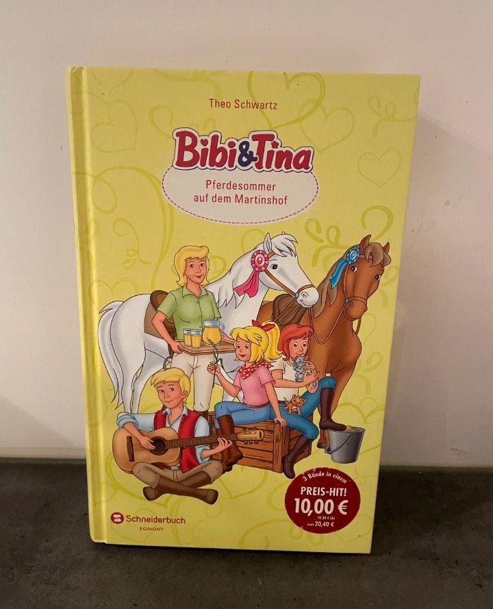 Bibi Blocksberg und Bibi und Tina Buch zusammen 5€ in Kleinwallstadt