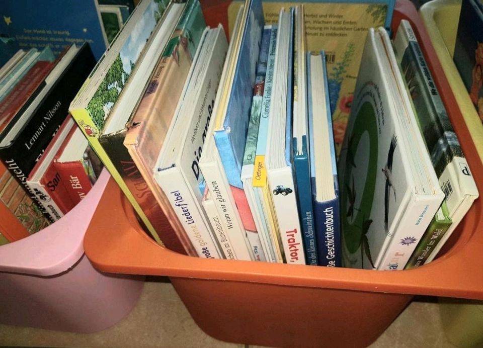 121 Bilderbücher Kinderbücher Sammlung in Sandhausen