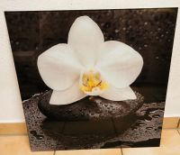 Glasbild Orchidee Bayern - Amberg Vorschau
