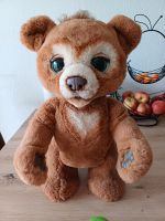 FurReal HASBRO Knudelbär Cubby Baden-Württemberg - Künzelsau Vorschau