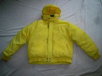 Winterjacke Daunenjacke  Jacke Schneejacke Skijacke Daunen Herren Niedersachsen - Bad Pyrmont Vorschau