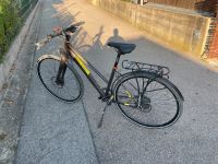 Citybike Fahrrad Drössiger Bayern - Abensberg Vorschau