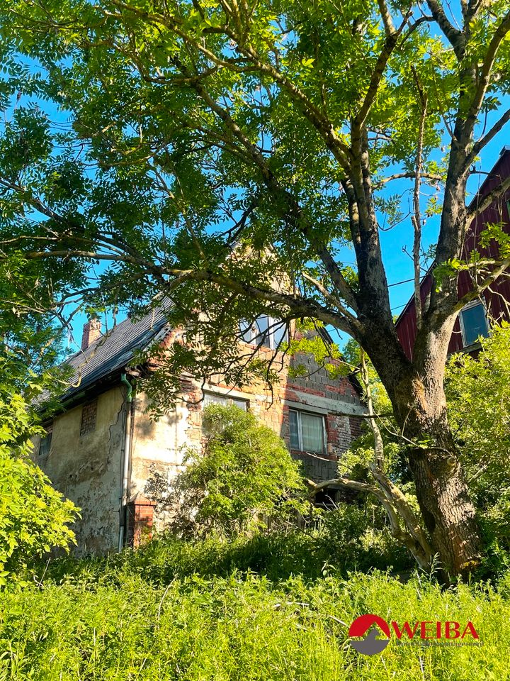 Selbstversorger ! Großzügiges Bauland inkl. Top Sanierungsobjekt und Scheune in Frauenstein