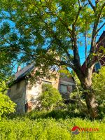 Selbstversorger ! Großzügiges Bauland inkl. Top Sanierungsobjekt und Scheune Sachsen - Frauenstein Vorschau