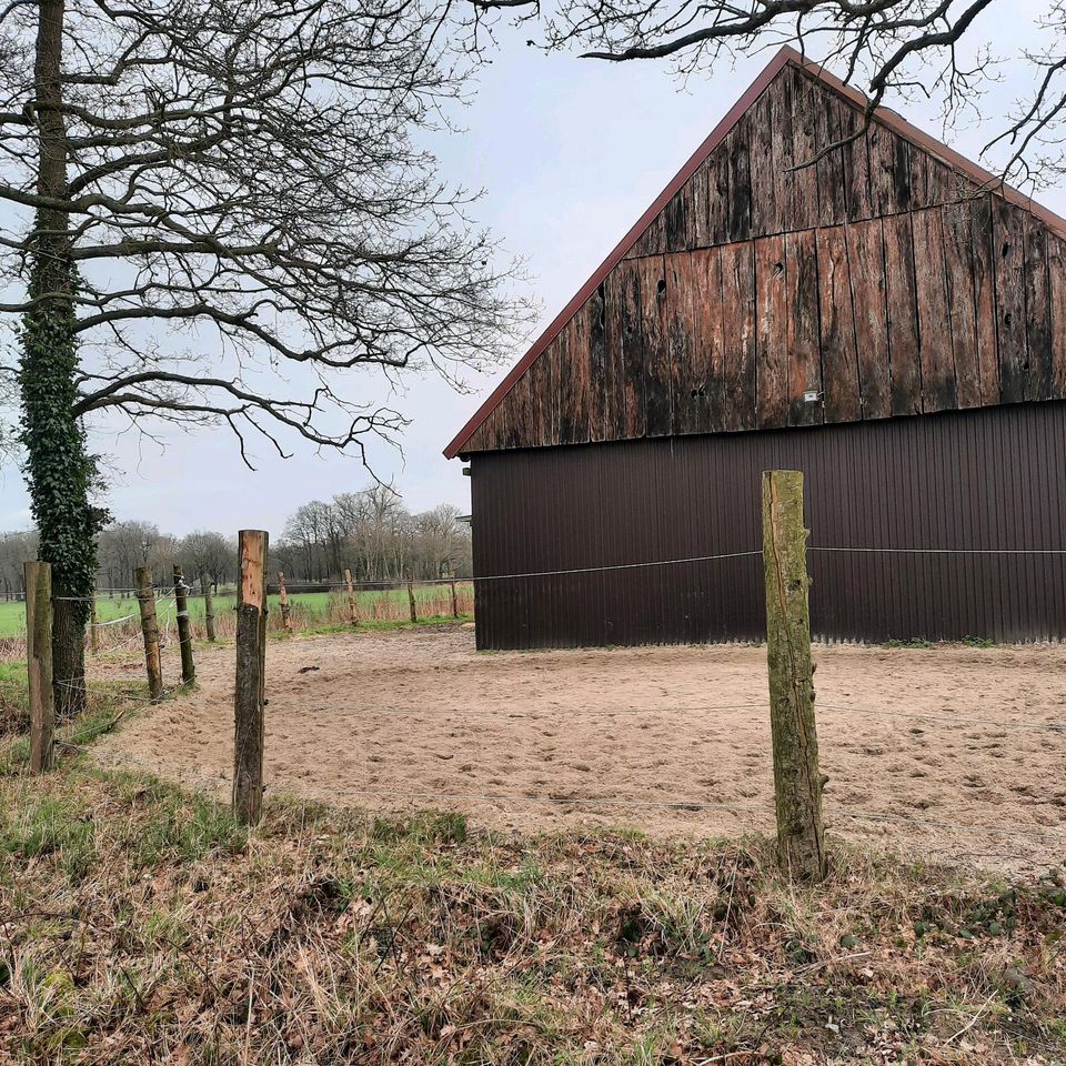 Einsteller für Stall gesucht in Ochtrup