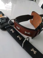 2 Halsbänder echt Leder für Hunde  Baden-Württemberg - Bad Saulgau Vorschau