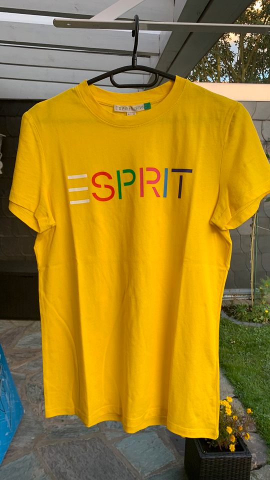 4x ESPRIT T-Shirt Logo Print XS weiß grün gelb blau gestreift NEU in Düren