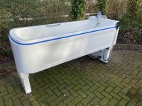 Badewanne GFK / Kunststoff/ elektrisch/ medizinisch Niedersachsen - Jork Vorschau