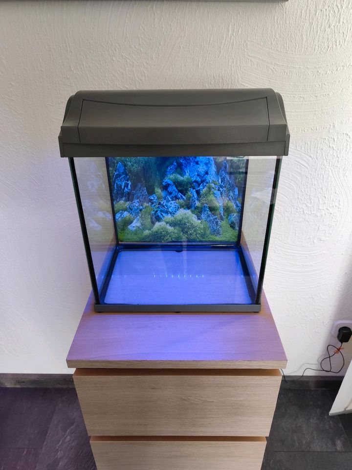 30 Liter Nano Aquarium und Zubehör in Hilchenbach