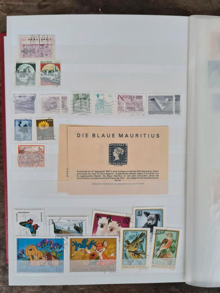 Briefmarkensammlung in Leipzig