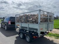 ✔✔ Buche / Eiche Kaminholz - wir liefern ! ✅ Nordrhein-Westfalen - Wegberg Vorschau
