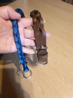 Hund Halsband braun blau Hundehalsband Bayern - Kottgeisering Vorschau