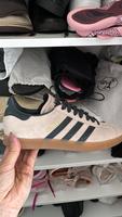 Adidas Gazelle  sneaker neu 38 2/3 beige Hessen - Hainburg Vorschau